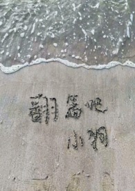 金主爸爸们也需要竞聘上床（NPH）金主爸爸们也需要竞聘上床（NPH）